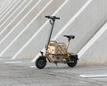 M8 Electric Scooter