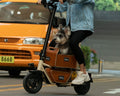 M8 Electric Scooter
