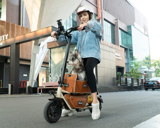 M8 Electric Scooter